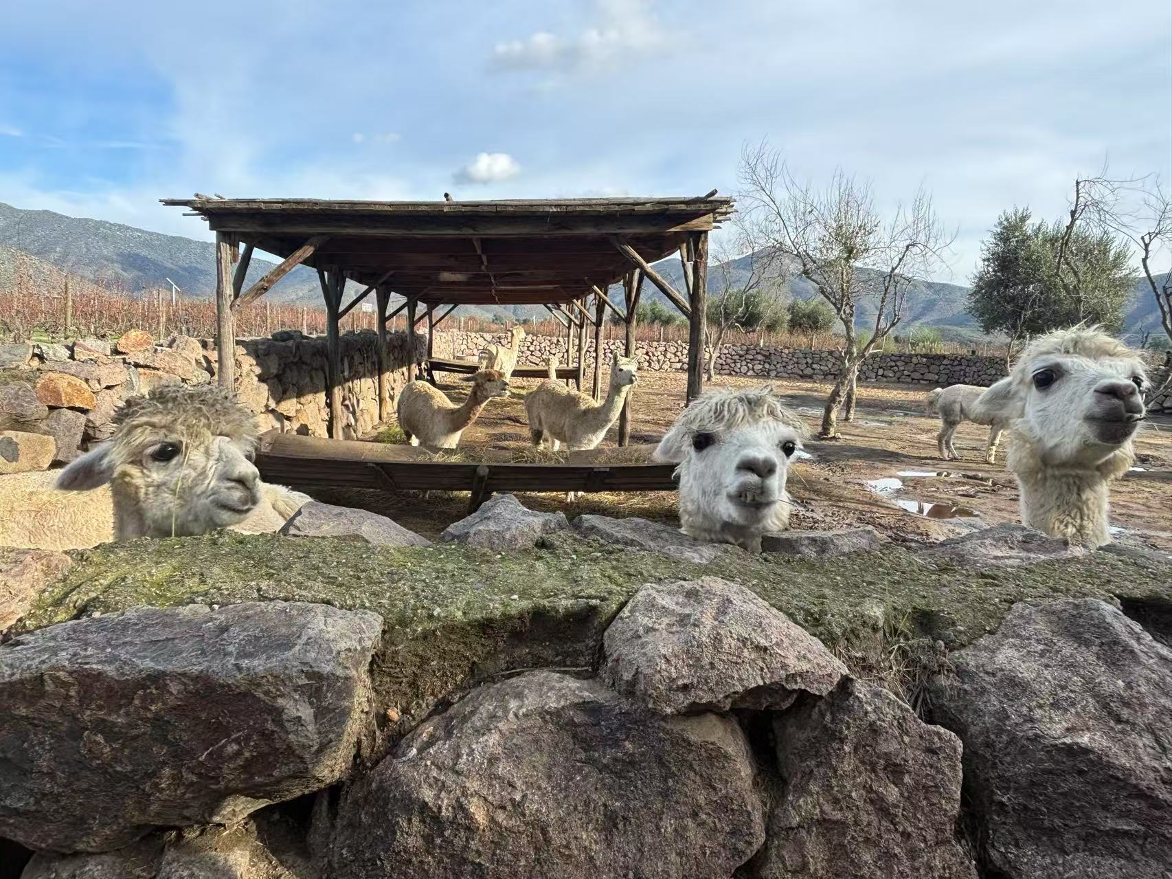 Great Wall